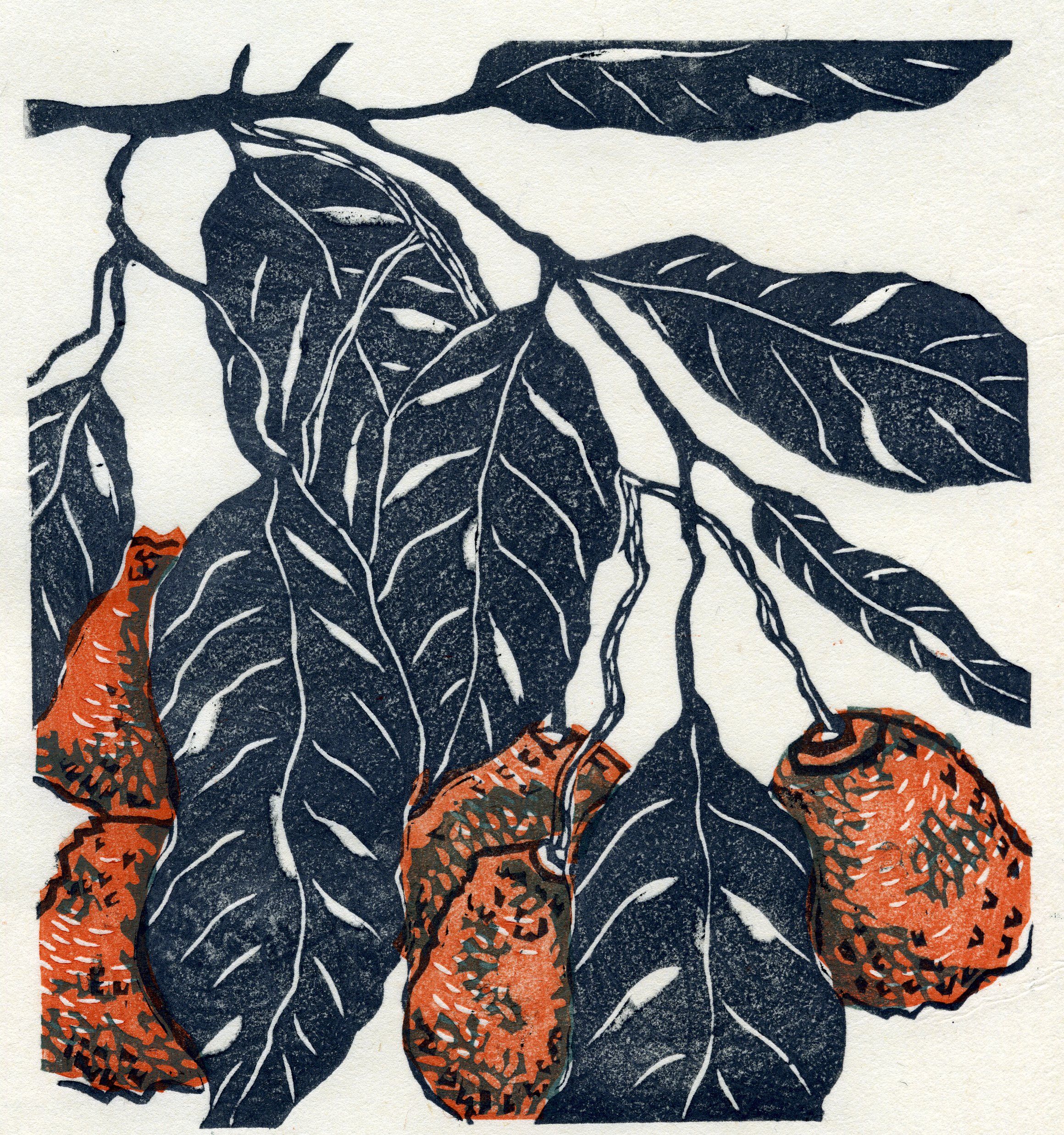 Image_of_WALLC1